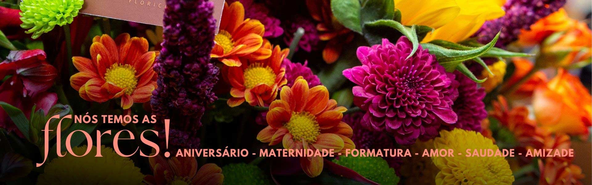 Ocasião